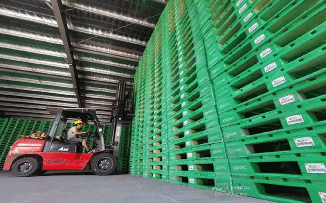 福建國林木材產業(yè)園